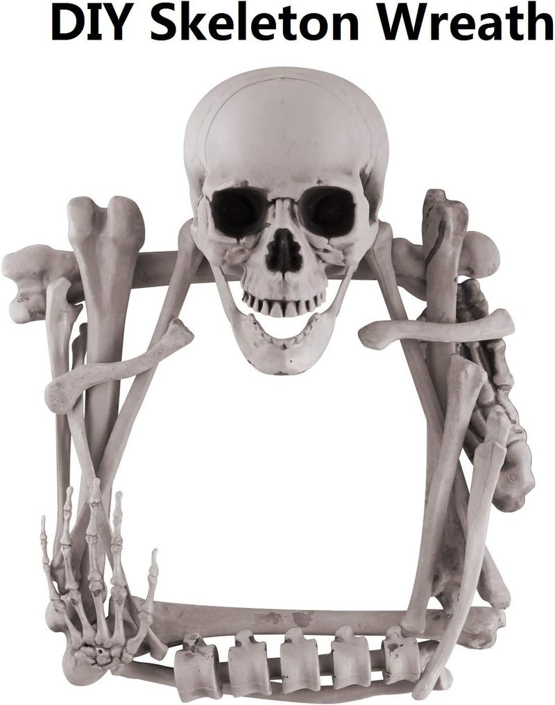 GameXcel Halloween Skeleton Bones and a Skull - Plastic Life-Size Bones Set Yard Decoration - Props for Graveyard Haunted House Indoor & Outdoor Deco (35PCS) - Image 5